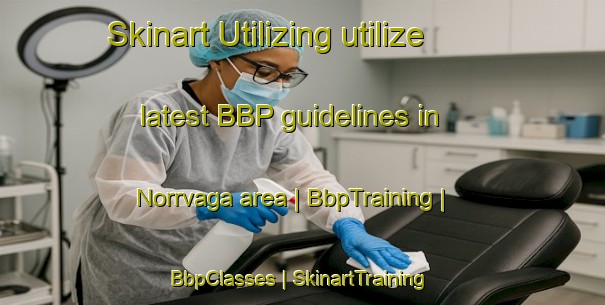 Skinart Utilizing utilize latest BBP guidelines in Norrvaga area | BbpTraining | BbpClasses | SkinartTraining-Sweden